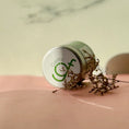 Load image into Gallery viewer, Green Matcha
